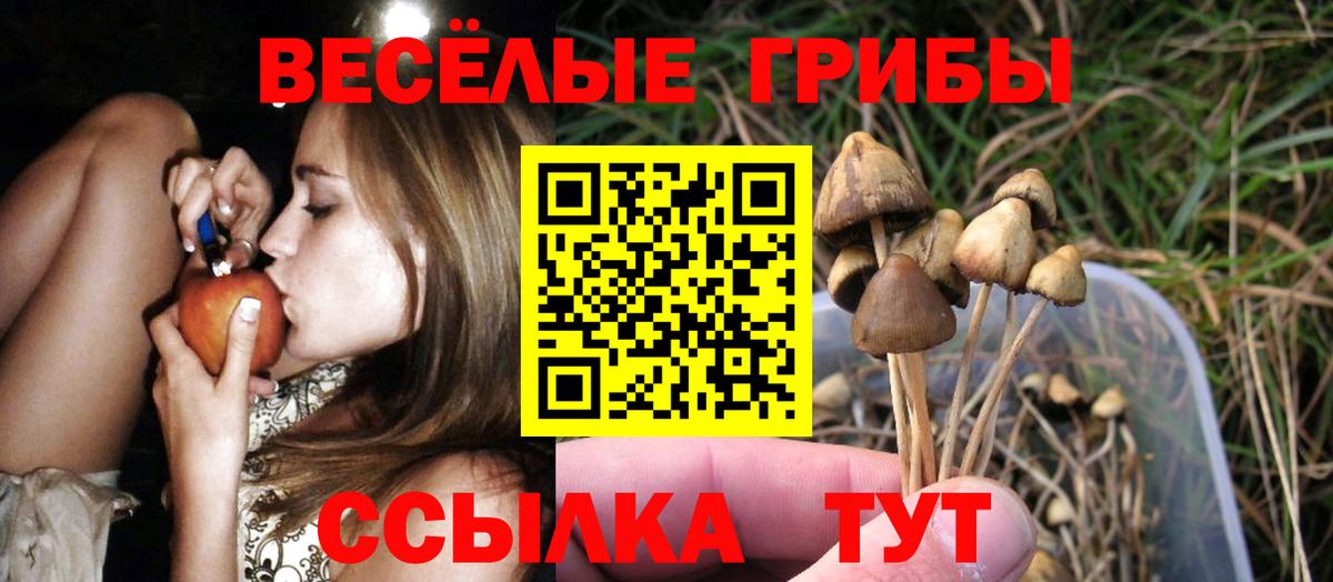 Псилоцибиновые грибы Cubensis Гусь-Хрустальный